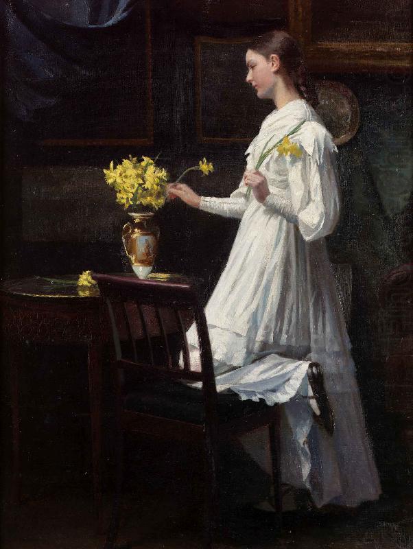 Arranging daffodils, Carl d Unker